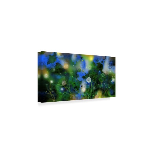 RUNA 'Night Flowers' Canvas Art,24x47